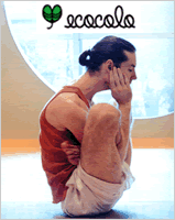 ecocolo_8_2006_sm.gif